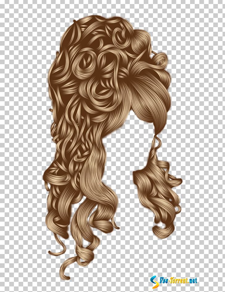 Long Hair Wig Hairstyle Capelli PNG, Clipart, Brown Hair, Capelli, Dip Dye, Hair, Hair Care Free PNG Download