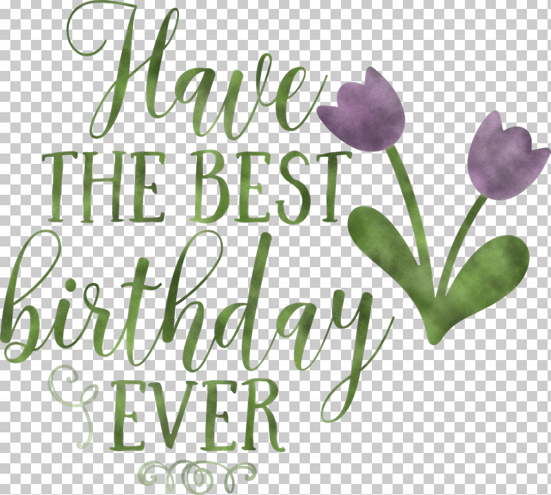 Birthday Best Birthday PNG, Clipart, Biology, Birthday, Cut Flowers, Floral Design, Flower Free PNG Download