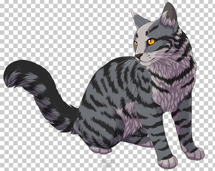 American Shorthair European Shorthair California Spangled American Wirehair Toyger PNG, Clipart, American Wirehair, Asian, Bluestar, California Spangled, Carnivoran Free PNG Download