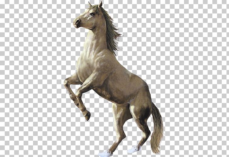 Arabian Horse Mustang Stallion Mare Foal PNG, Clipart, Animal, Animal Figure, Arabian Horse, Equine Coat Color, Foal Free PNG Download