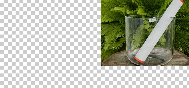 Grasses Plastic Water Herb Tree PNG, Clipart, Family, Glass, Grass, Grasses, Grass Family Free PNG Download