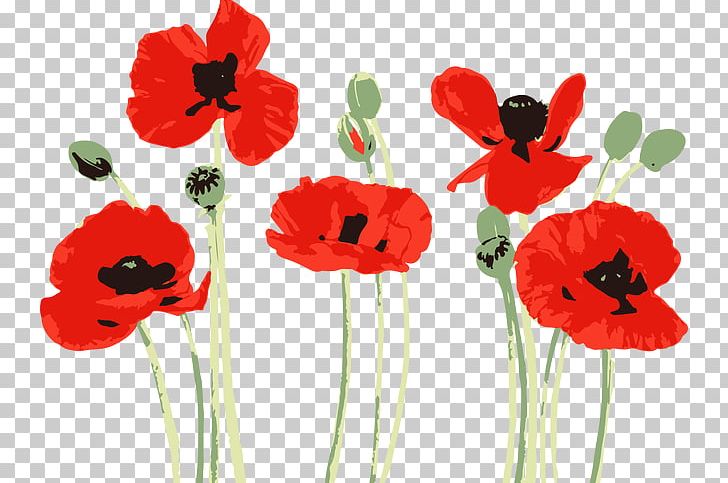 Watercolor Painting Poppy Drawing Bobbie Burgers PNG, Clipart, Art, Artificial Flower, Botanical Illustration, Common Poppy, Coquelicot Free PNG Download