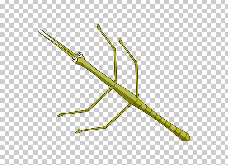Insect Phasmids Cartoon PNG, Clipart, Abc, Angle, Animaatio, Animals, Cartoon Free PNG Download