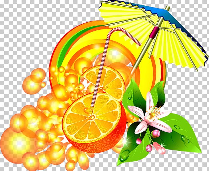 Lemon Grapefruit Orange Photography PNG, Clipart, Cartoon Cocktail, Citrus, Cocktail, Cocktail Fruit, Cocktail Glass Free PNG Download