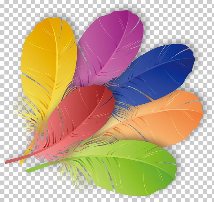 The Floating Feather Color PNG, Clipart, Animals, Colorful, Color Matching, Color Pencil, Color Powder Free PNG Download