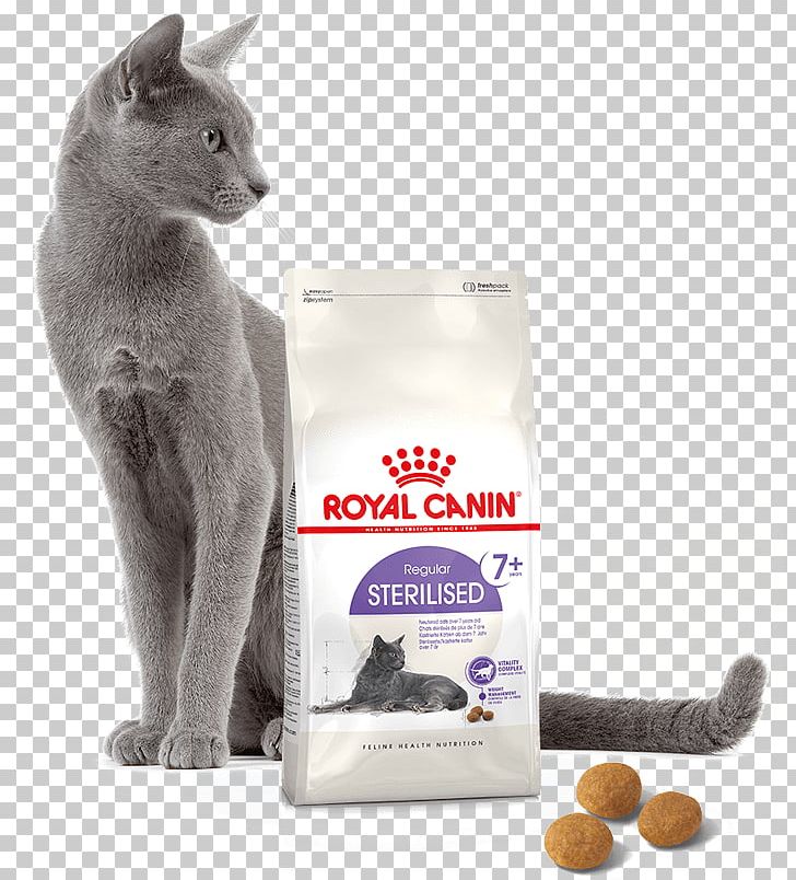 Cat Food Dog Royal Canin Pet Shop PNG, Clipart, Animals, Carnivoran, Cat, Cat Food, Cat Like Mammal Free PNG Download