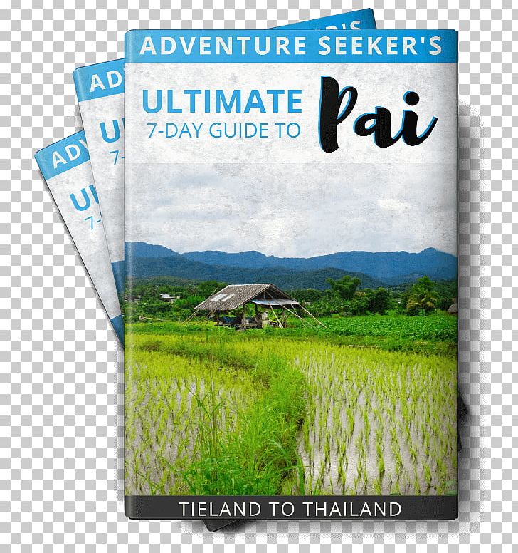 Ko Chang District Pai Thai Cuisine Trekking Rafting PNG, Clipart, Advertising, Bamboo Rice, Beach, Brand, Ecosystem Free PNG Download