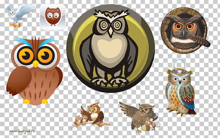 Owl PNG, Clipart, Animals, Beak, Bird, Bird Of Prey, Computer Icons Free PNG Download