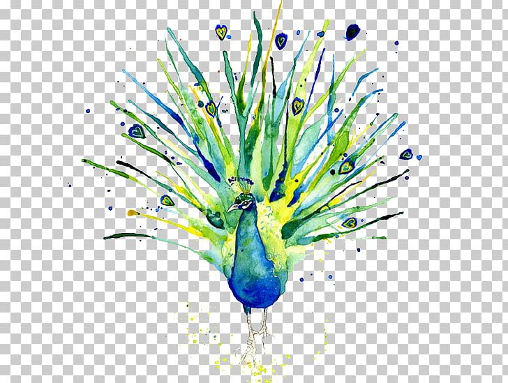 Peafowl Logo Of NBC Watercolor Painting PNG, Clipart, Animals, Beak, Cartoon, Feather, Hand Free PNG Download