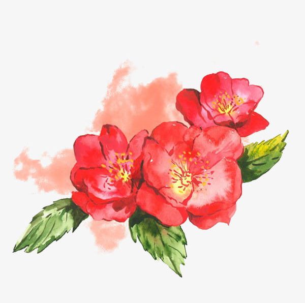 Watercolor Flower Design Elements PNG, Clipart, Backgrounds, Decoration, Design, Design Clipart, Design Elements Free PNG Download