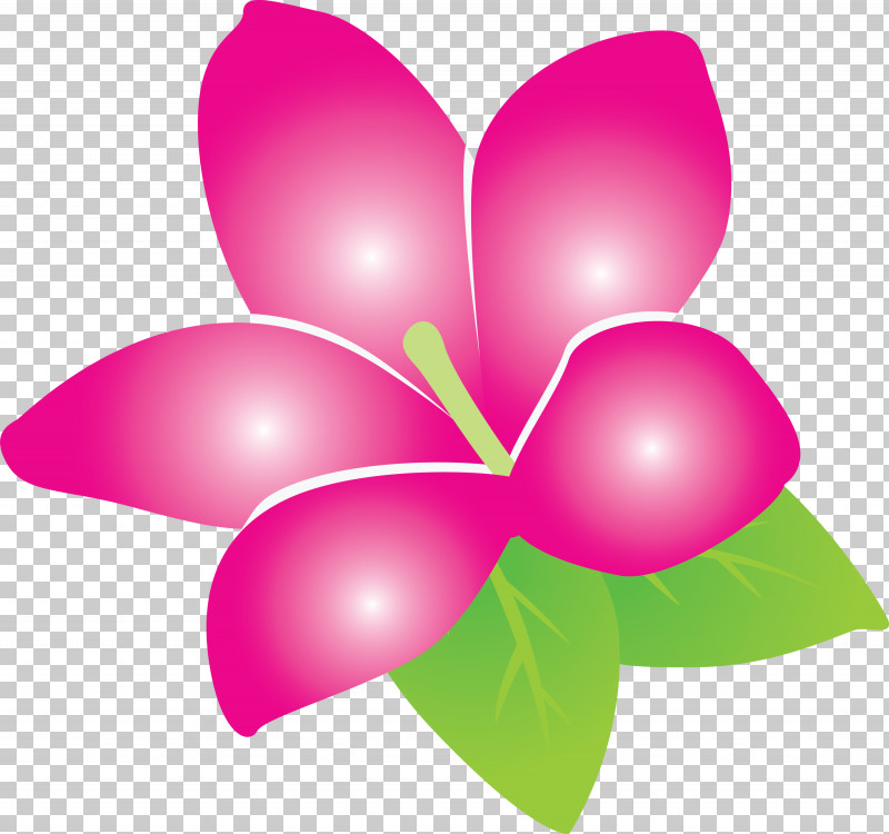 Jasmine Jasmine Flower PNG, Clipart, Biology, Flower, Heart, Jasmine, Jasmine Flower Free PNG Download
