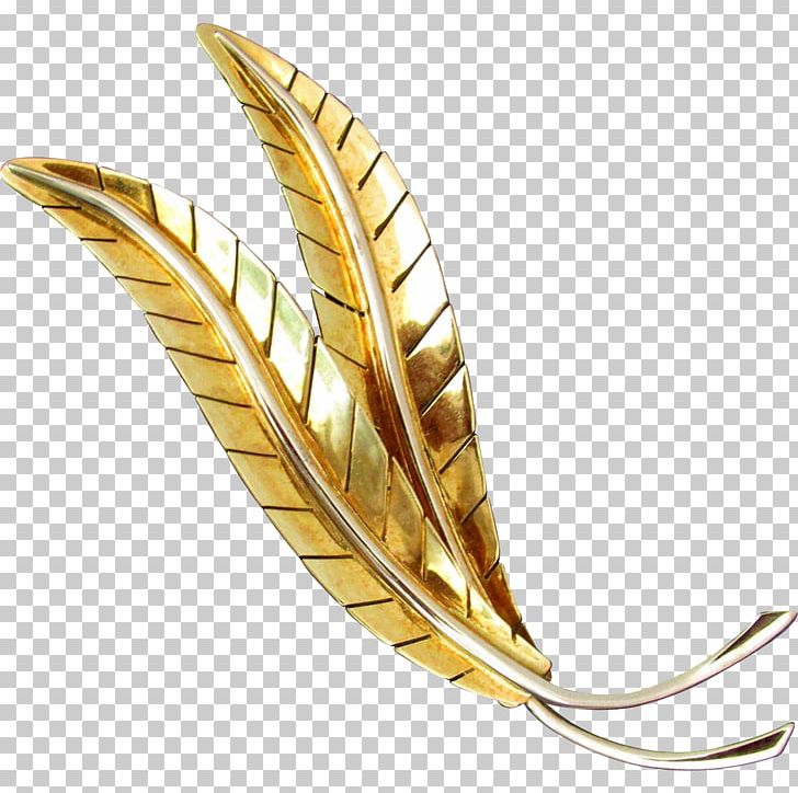 Alessandria Brooch Gold Alexandria Jewellery PNG, Clipart, Alessandria, Alexandria, Brooch, Feather, Gold Free PNG Download