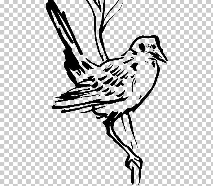 Bird Wing Feather Beak PNG, Clipart, Animals, Art, Artwork, Beak, Bird Free PNG Download