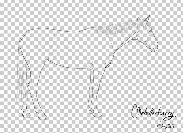 Mule Foal Bridle Stallion Colt PNG, Clipart, Arabic Calligraphy, Arm, Artwork, Black And White, Bridle Free PNG Download