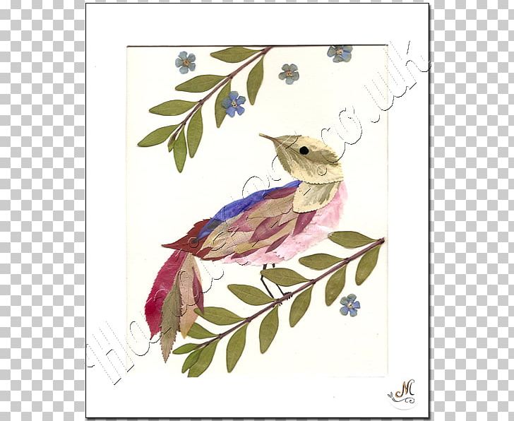Beak Fauna Character Feather Flowering Plant PNG, Clipart, Animals, Art, Arts, Beak, Bird Free PNG Download