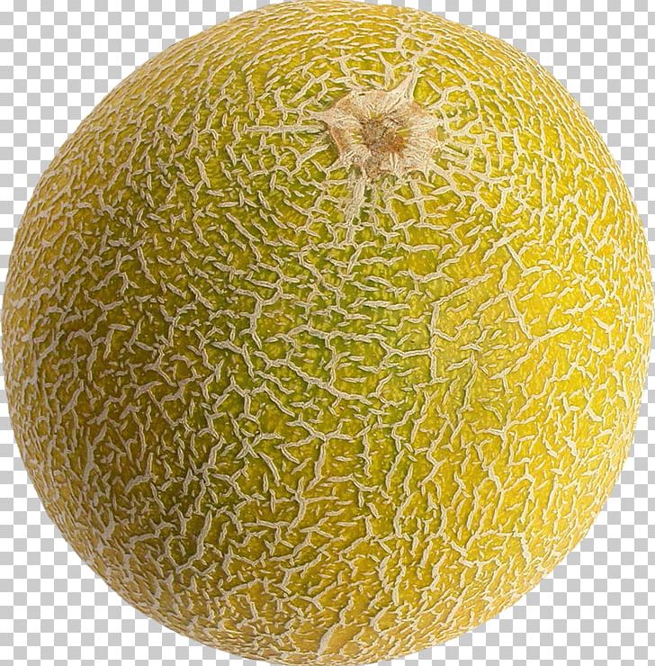 Cantaloupe Melon Portable Network Graphics Honeydew PNG, Clipart, Cantaloupe, Commodity, Cucumber Gourd And Melon Family, Cucumis, Download Free PNG Download