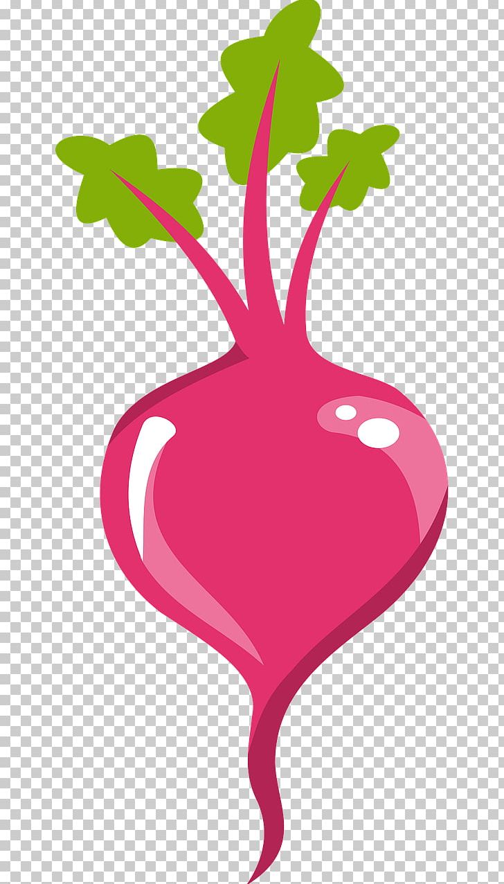 Common Beet Beetroot Vegetable PNG, Clipart, Artwork, Beet, Beetroot, Branch, Common Beet Free PNG Download