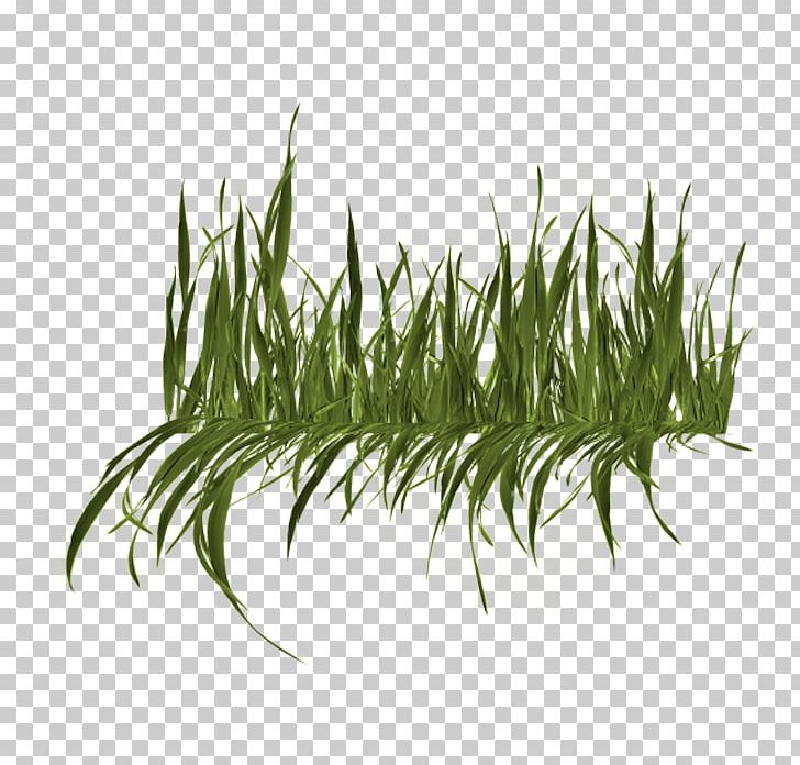 Lawn Mowers Artificial Turf PNG, Clipart, Artificial Turf, Backyard, Desktop Wallpaper, Editing, English Landscape Garden Free PNG Download