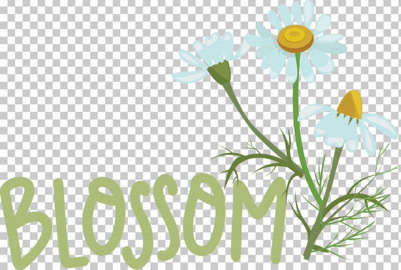Floral Design PNG, Clipart, Chamomiles, Cut Flowers, Floral Design, Flower, Meadow Free PNG Download