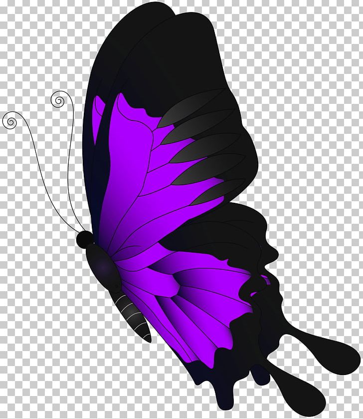 Butterfly Chroma Key PNG, Clipart, Blue, Butterflies, Butterflies And Moths, Butterfly, Chroma Key Free PNG Download