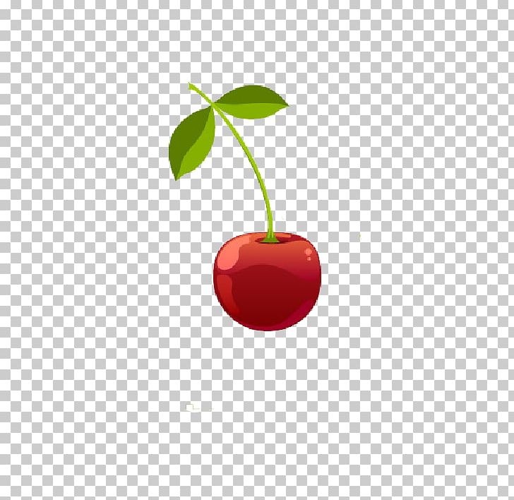 Cherry Computer File PNG, Clipart, Adobe Illustrator, Animation, Blossoms Cherry, Cartoon, Cherries Free PNG Download