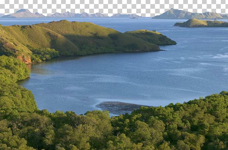 Komodo Rinca Beijing World Park National Park PNG, Clipart, Amusement Park, Attractions, Coast, Coastal And Oceanic Landforms, Famous Free PNG Download