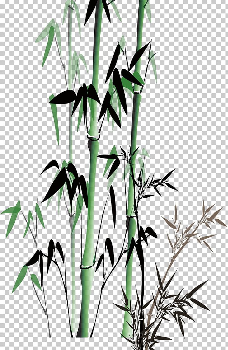Bamboo Bamboe PNG, Clipart, Background Green, Bamboe, Bamboo, Black And White, Branch Free PNG Download