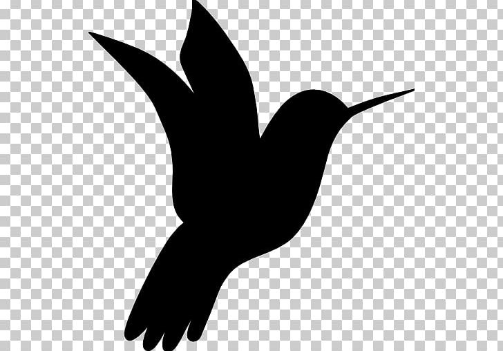 Bird Violetear Computer Icons Animal PNG, Clipart, Animal, Animals, Beak, Bird, Black And White Free PNG Download