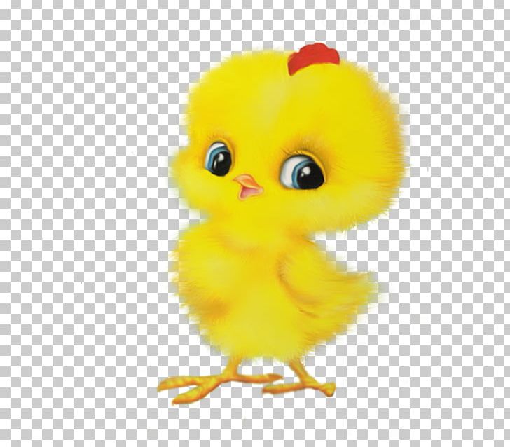 Child English Drawing PNG, Clipart, Beak, Bird, Breed, Chicken, Child Free PNG Download