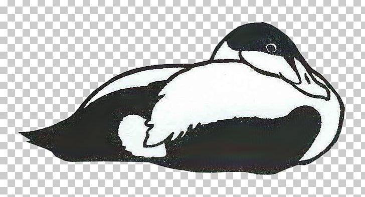 Duck Penguin Drawing /m/02csf Fauna PNG, Clipart, Alnwick, Animals, Artwork, Beak, Bird Free PNG Download