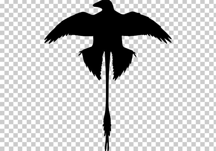Microraptor Bird Anchiornis Dinosaur Feather PNG, Clipart, Anchiornis, Animals, Beak, Bird, Black And White Free PNG Download