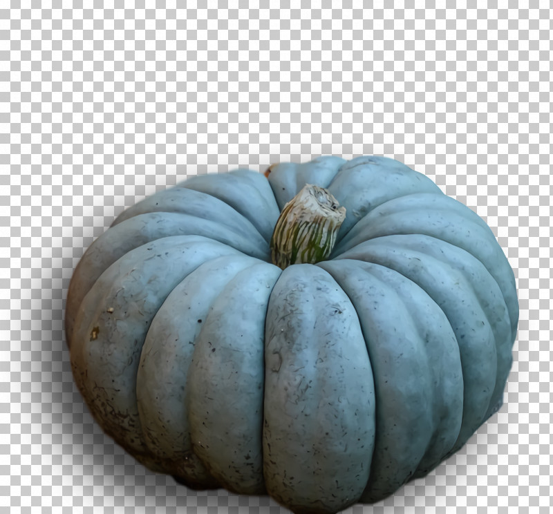 Squash Winter Squash Gourd PNG, Clipart, Gourd, Squash, Winter Squash Free PNG Download