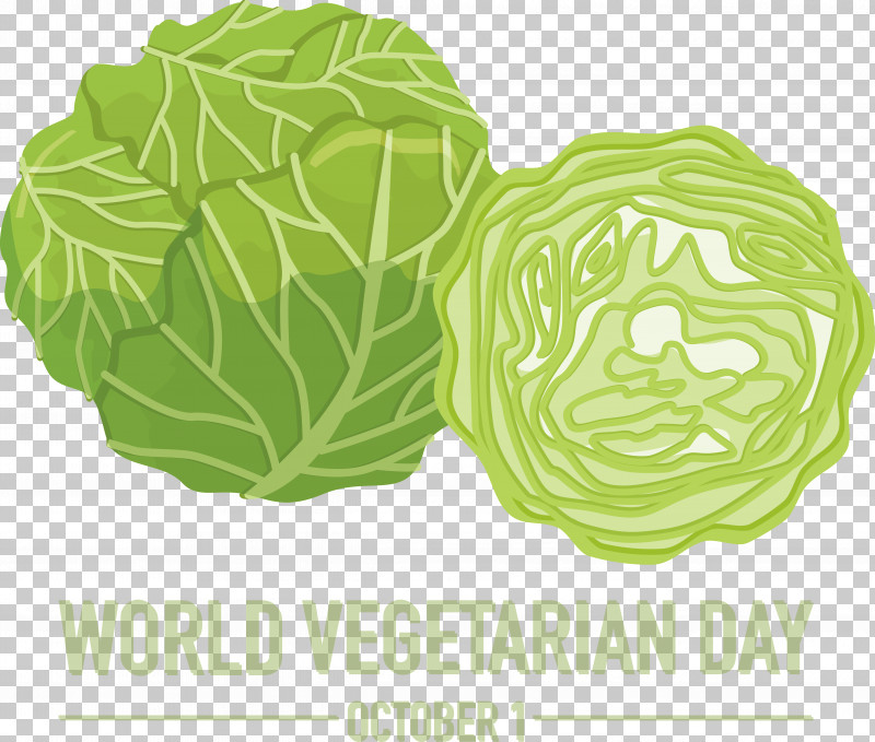 Cauliflower PNG, Clipart, Brussels Sprout, Cabbage, Cauliflower, Flower, Leaf Vegetable Free PNG Download