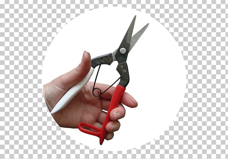 Gardening Snips Scissors Sharpex Engineering Works PNG, Clipart, Cheesemaking, Com, Concept, Finger, Garden Free PNG Download