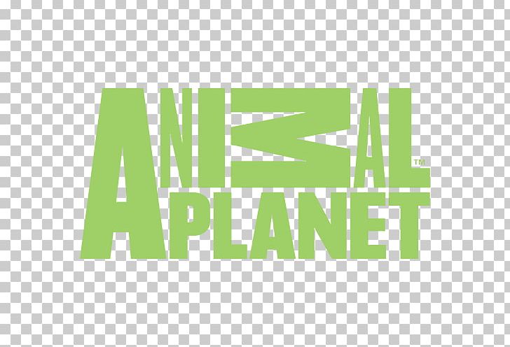Animal Planet Logo Schoolagenda Brand Television Channel PNG, Clipart, Angle, Animal, Animal Planet, Animal Planet Hd, Area Free PNG Download