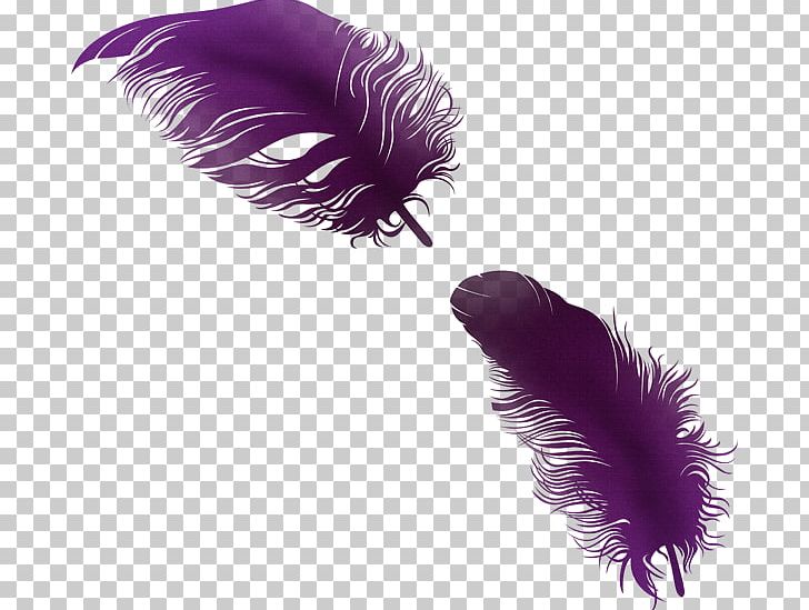 Feather PhotoScape PNG, Clipart, Animals, Color, Dots Per Inch, Download, Eyelash Free PNG Download