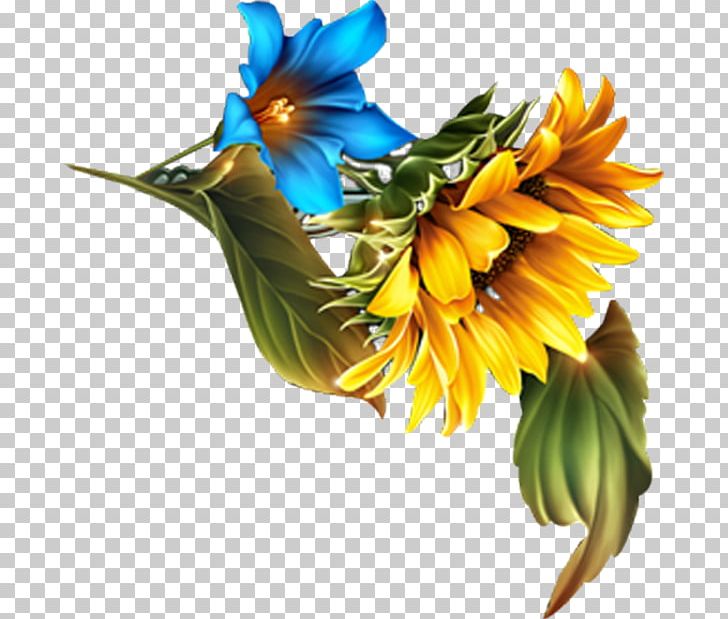 Floral Design Common Sunflower Cartoon PNG, Clipart, Bird, Cartoon, Cartoon Couple, Cut Flowers, Floristry Free PNG Download