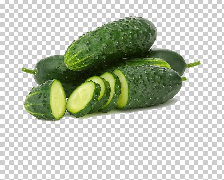 Juicer Cucumber Spreewald Gherkins Vegetable PNG, Clipart, Apple Fruit, Armenian Cucumber, Cucumber Cucumber Fruit, Dining, Food Free PNG Download