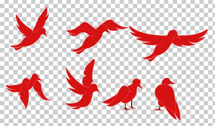 Tweety Bird Animation Cartoon PNG, Clipart, Animation, Beak, Bird, Bird Animation, Bird Flight Free PNG Download