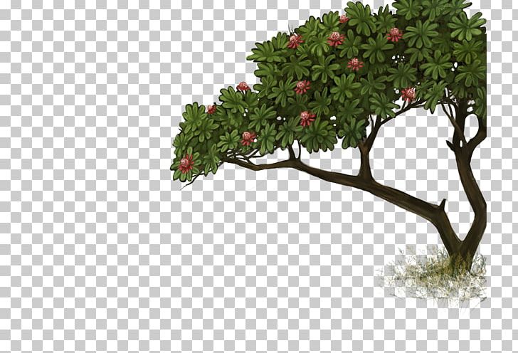 Lion Slot 2 Felidae Leopon Slot 1 PNG, Clipart, Africa, Africa Tree, Bonsai, Branch, Celestial Cover Free PNG Download