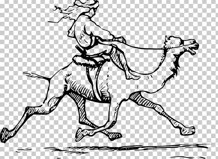 Bactrian Camel Dromedary Drawing PNG, Clipart, Artwork, Bactrian Camel, Black And White, Buff Cratoon Camel, Camel Free PNG Download
