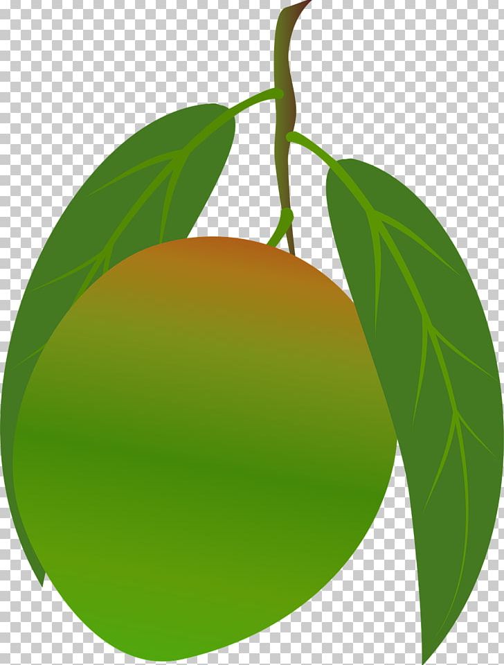Citrus Mango Food PNG, Clipart, Apple, Branch, Citrus, Food, Fruit Free PNG Download