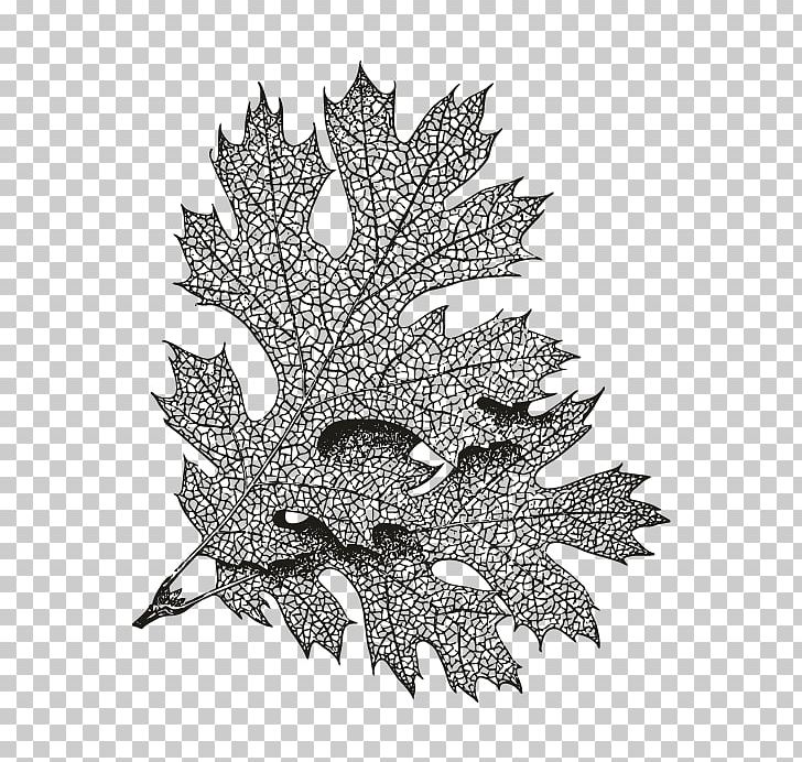 Drawing Painting PNG, Clipart, Art, Black And White, Conifer Cone, Drawing, Flowering Plant Free PNG Download