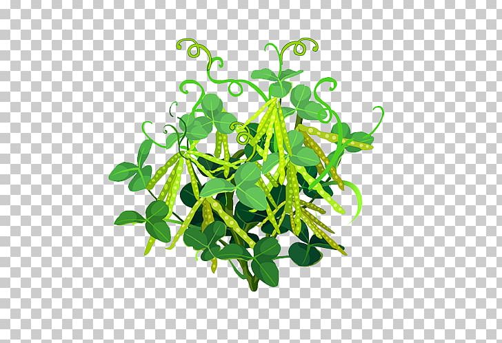 Snow Pea Plant Vegetable Leaf PNG, Clipart, Bean, Branch, Decoration, Flowerpot, Fruit Free PNG Download