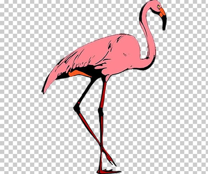 Crane Flamingos Bird Stork PNG, Clipart, Animal, Artwork, Beak, Bird, Clip Art Free PNG Download