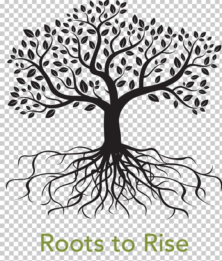 Graphics Root Tree PNG, Clipart, Arbol, Artwork, Black And White, Branch, Computer Icons Free PNG Download