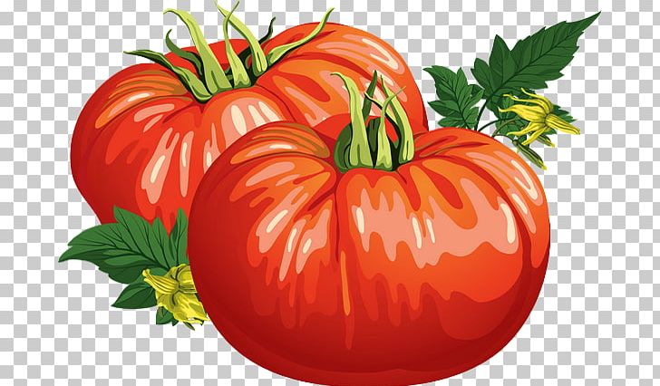 Plum Tomato Bush Tomato Tomato Juice Cherry Tomato Vegetable PNG, Clipart, Calabaza, Cherry Tomato, Commodity, Cucurbita, Diet Food Free PNG Download