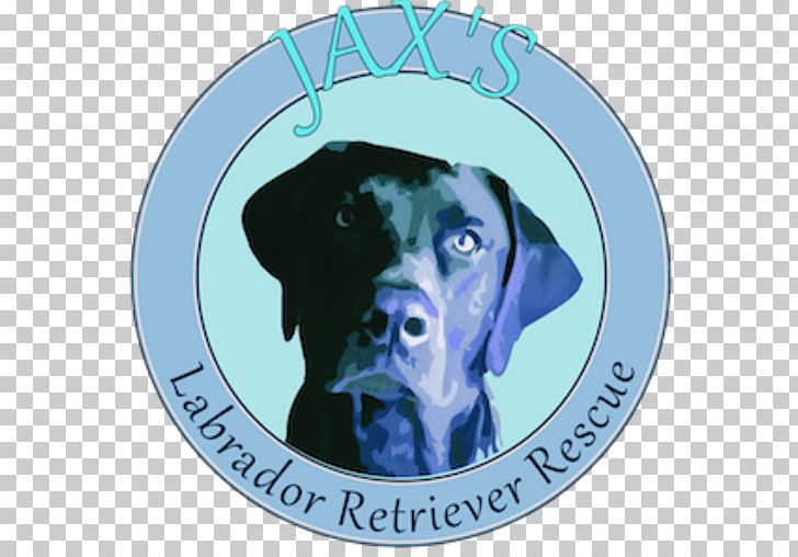 Jax's Labrador Retriever Rescue Dog Breed Puppy PNG, Clipart,  Free PNG Download