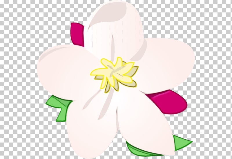 Cherry Blossom PNG, Clipart, Blossom, Cherry Blossom, Drawing, Flower, Magnolia Free PNG Download