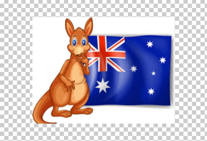Australia Red Kangaroo Macropodidae PNG, Clipart, Australia, Australian, Australian Flag, Beside, Cartoon Free PNG Download